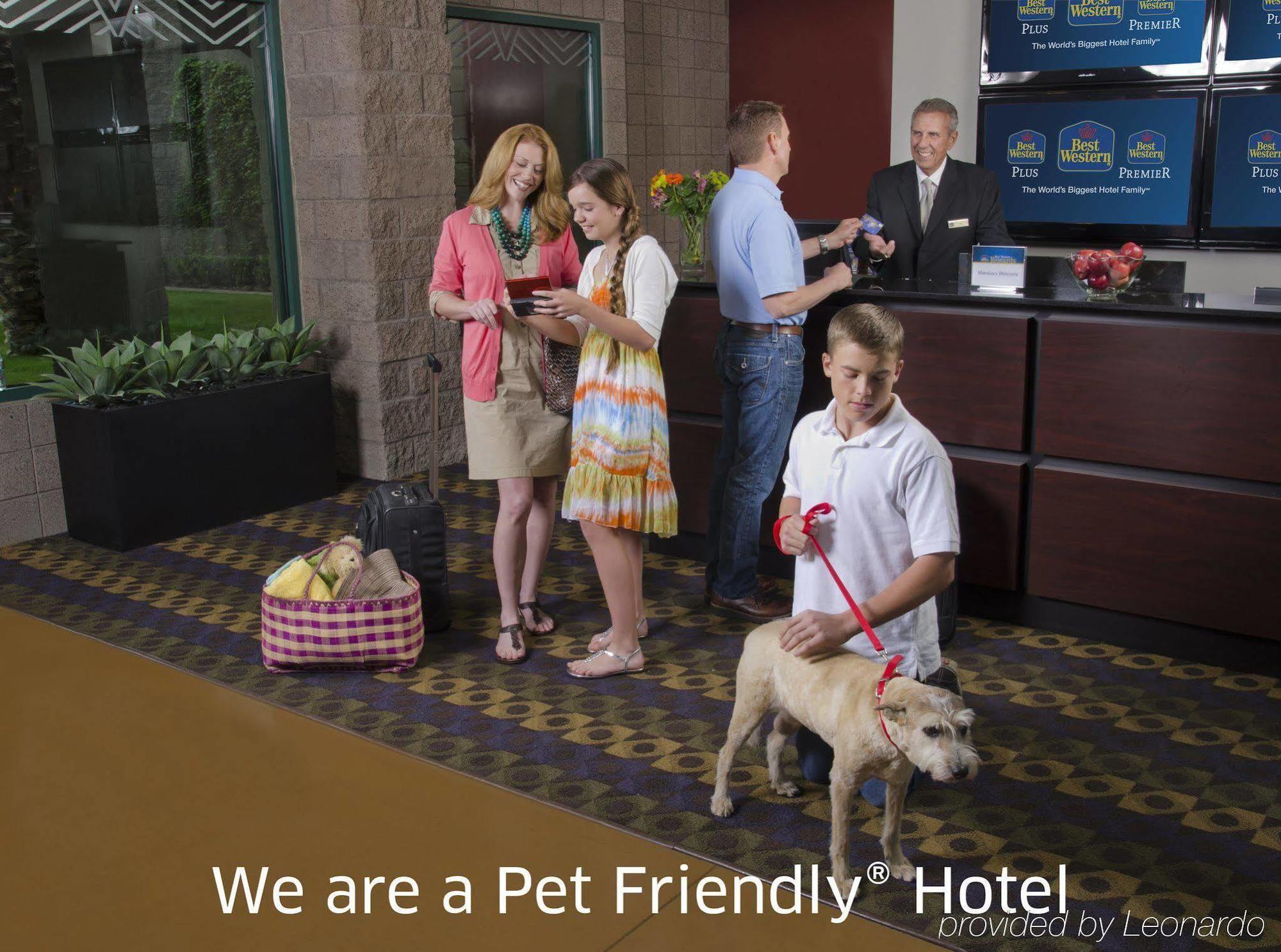 Best Western Plus Finger Lakes Inn & Suites Cortland Kültér fotó